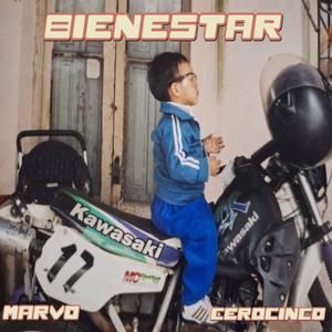 BIENESTAR (Explicit)