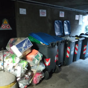 l'attivista leccaculo