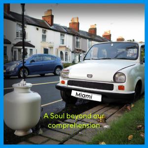 I Couldn't See (feat. The Deep Throat C, Abrasive Manifesto, SUPERSAW & Tyler G)