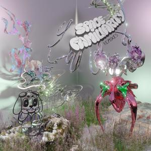 Space Familiarity (lilen Remix)