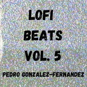 Lofi Beats Vol. 5