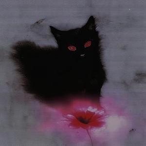 i dont wna cry (feat. kurffew) (hard)