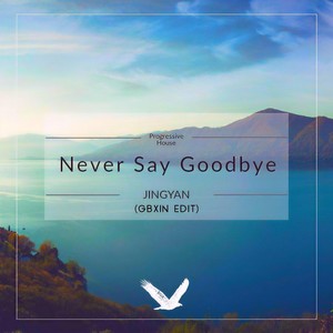 Never Say Goodbye (GBXIN Edit)