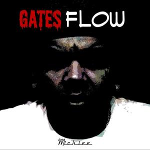 Gates Flow (Explicit)