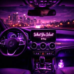 What You Want (Explicit)