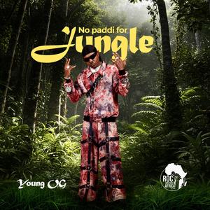No Paddi For Jungle (Explicit)