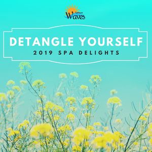 Detangle Yourself - 2019 Spa Delights