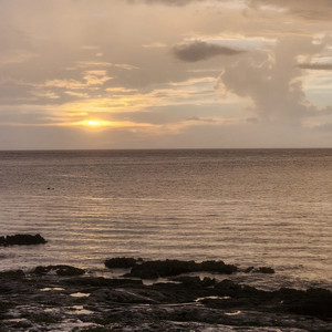 Yo Tambien Estube Ahi