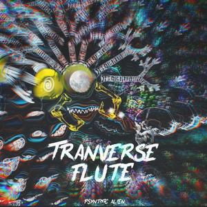 Transverse Flute