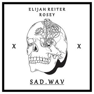 Sad.Wav (feat. riprosey) [Explicit]