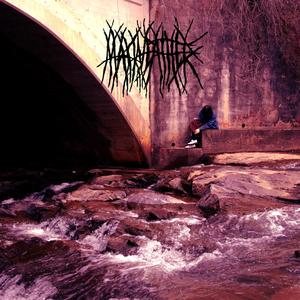 i shot the census man and got away with it (Explicit)