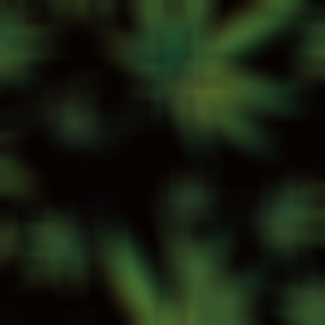 Niggas Don't Know What's Real (Remix|Explicit)