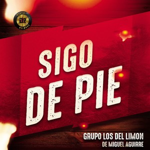 Sigo De Pie (En Vivo)