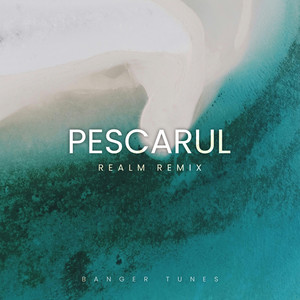 Pescarul (Realm Remix)