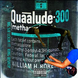 Quaaludes (feat. King Bishop) - Single [Explicit]