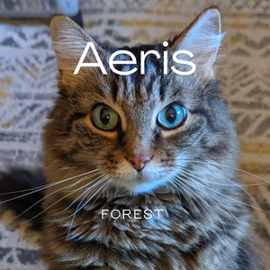 Aeris