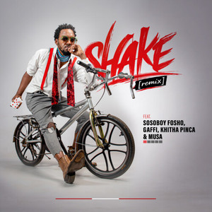 Shake (Remix)