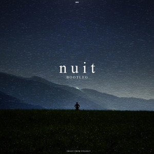 初音ミク-nuit (Sen remix)