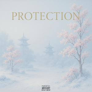 Protection (Explicit)