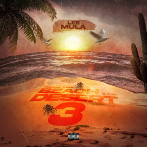 From the Beach 2 the Desert 3 (Explicit)