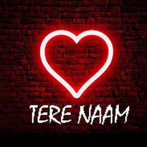 Tere naam Unplugged(feat. Aditya Bajpai Mohil) (Unplugged)