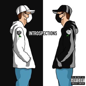 INTROSPECTIONS (Explicit)