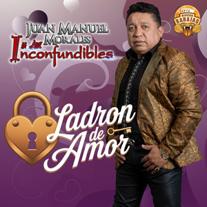 Ladrón de Amor