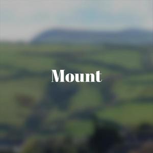 Mount