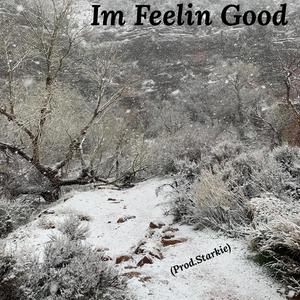 Im Feelin Good (feat. Starkie) (Explicit)