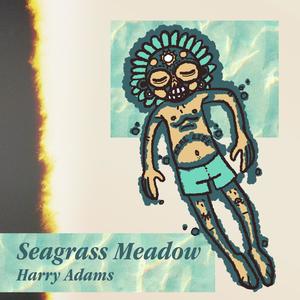 Seagrass Meadow