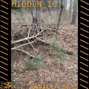 HIDDEN_16_VANILLA_SKY (original)