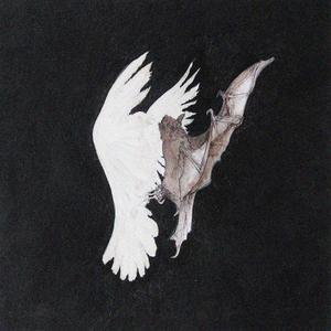 this girl i like (feat. Nevering) (Explicit)