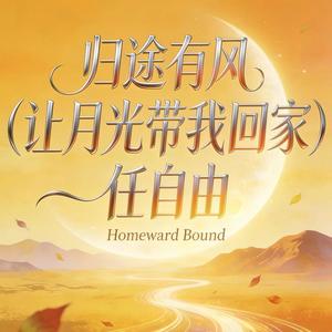 归途有风(让月光带我回家)