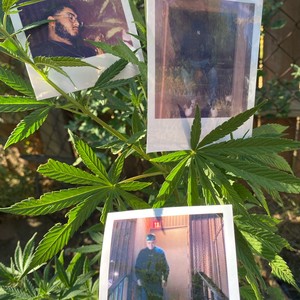 going strong (Explicit)