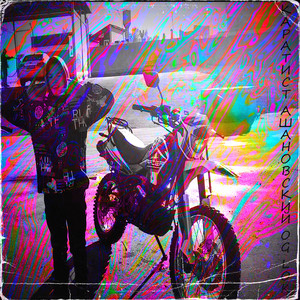 Каратист ашановский (Explicit)