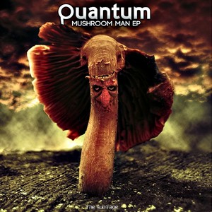 Mushroom Man (Original Mix)
