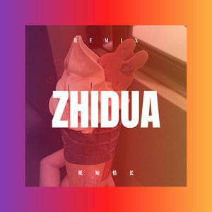 纸短情长 (DJ版)