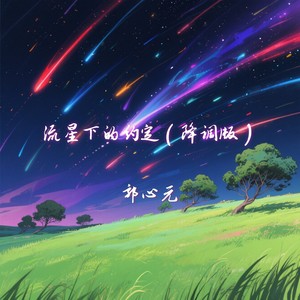 流星下的约定 (降调版)
