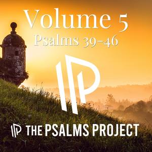 Psalm 44 (The Light of Your Face) (feat. Damon Groen) (Radio Remix)