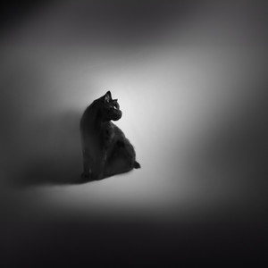 夜里