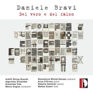 Daniele Bravi: Del vero e del falso