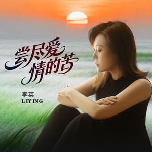 尝尽爱情的苦 (DJ版伴奏)