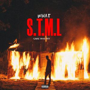 S.T.M, Vol. 1 (Explicit)