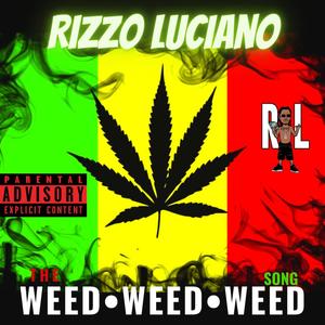 The Weed Weed Weed Song (feat. AP2TONE) [Explicit]