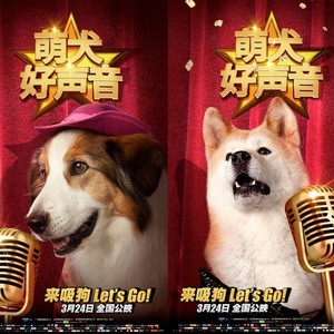 是否真实 (伴奏)