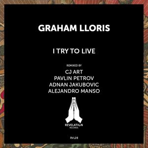 I Try to Live (Adnan Jakubovic's Try to Dance Mix)