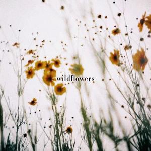 wildflowers