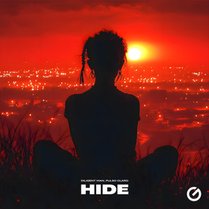 Hide
