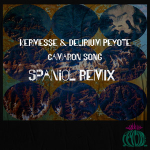 Camarón Song (Spaniol Remix)