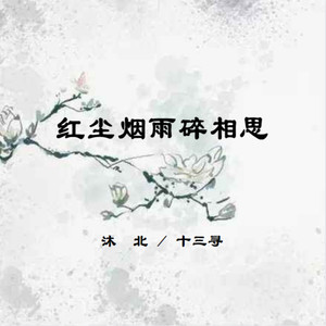 红尘烟雨碎相思